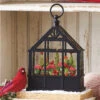 Lighted Water Greenhouse Cardinals, Red Amaryllis And Evergreens