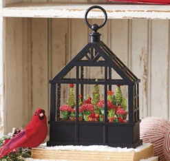 Lighted Water Greenhouse Cardinals, Red Amaryllis And Evergreens