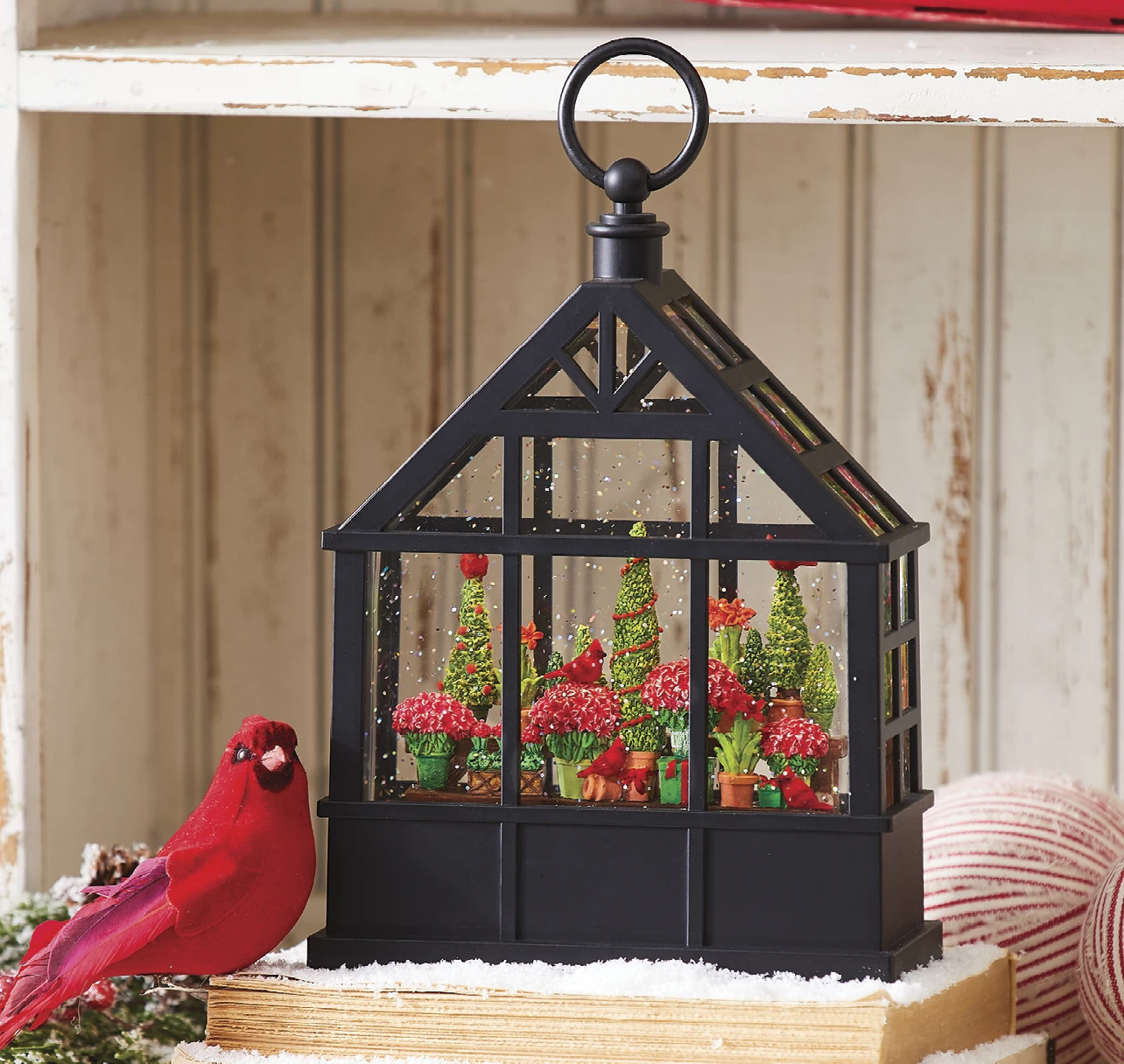 Lighted Water Greenhouse Cardinals, Red Amaryllis And Evergreens 1 Lighted Water Greenhouse Cardinals, Red Amaryllis And Evergreens