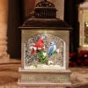 8.25 Inch Lighted Cardinal With Blue Jay Water Lantern In Swirling Glitter