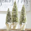 Set Of 3 Potted Bottle Brush Trees With White Berries