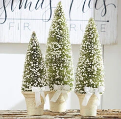 Set Of 3 Potted Bottle Brush Trees With White Berries
