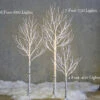 7 Foot Lighted Birch Tree - 750 Warm White Fairy Lights - From RAZ