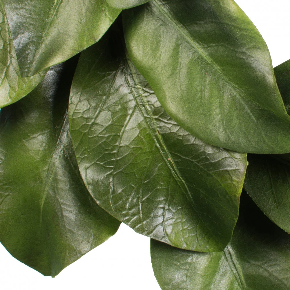 Magnolia Wreath - 16 Inch Candle Ring 2 Magnolia Wreath - 16 Inch Candle Ring - Image 2