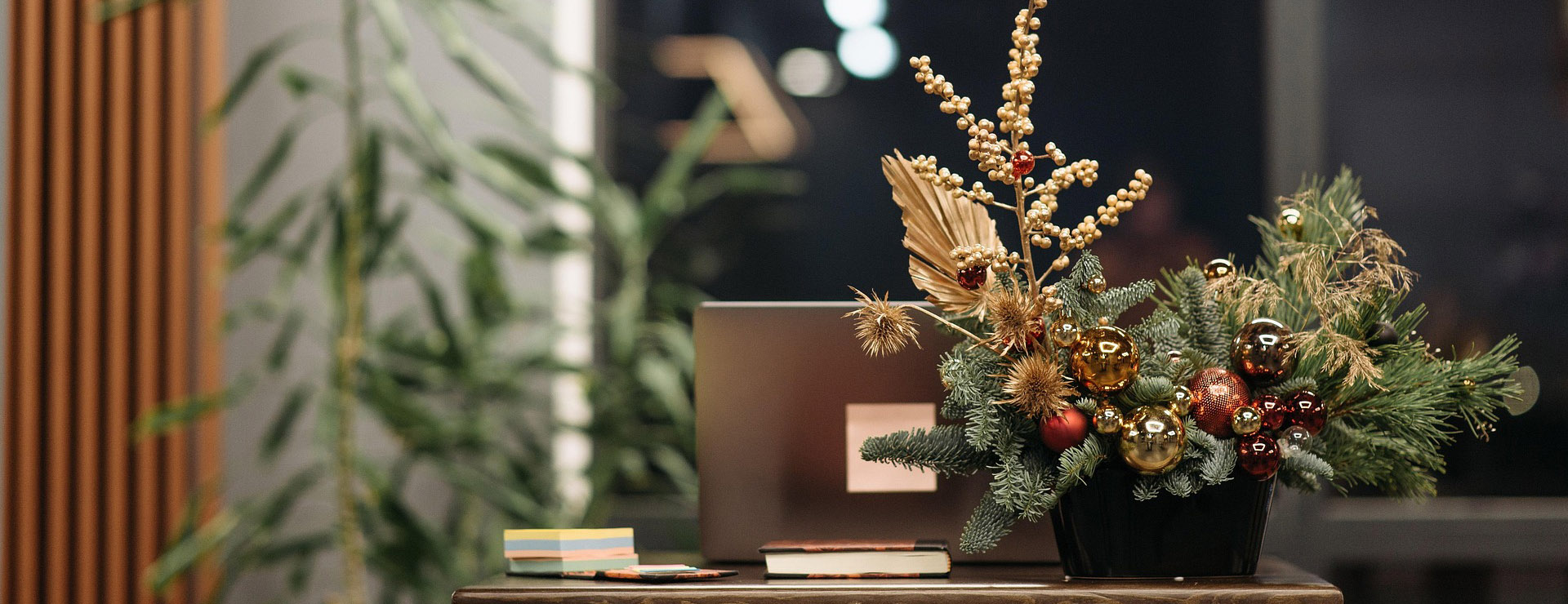 King of Christmas -King of Christmas christmas 7655448 1920